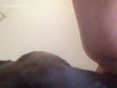 Licking some pussy, horny mutt